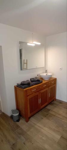 a bathroom with a sink and a mirror at Au Petit Galop in Nassiet
