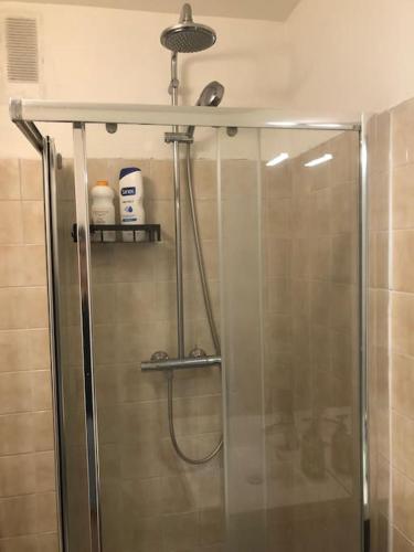 une douche avec une porte vitrée dans une salle de bain dans l'établissement Nice flat St Germain en Laye centre 30 minutes to Paris, à Saint-Germain-en-Laye