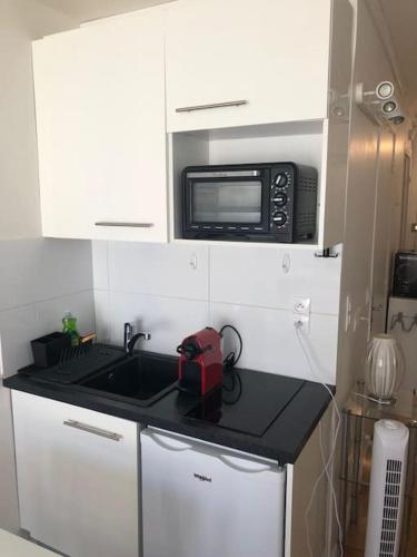une petite cuisine avec un évier et un micro-ondes dans l'établissement Nice flat St Germain en Laye centre 30 minutes to Paris, à Saint-Germain-en-Laye