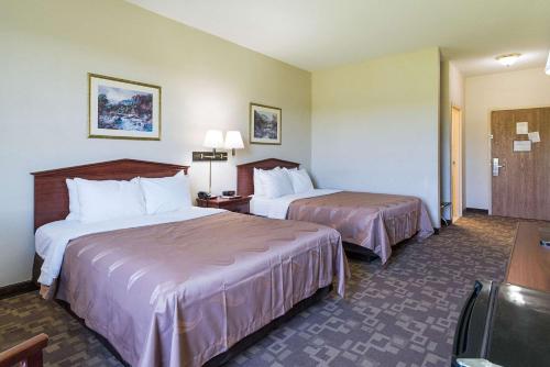 Postel nebo postele na pokoji v ubytování Quality Inn & Suites Schoharie near Howe Caverns