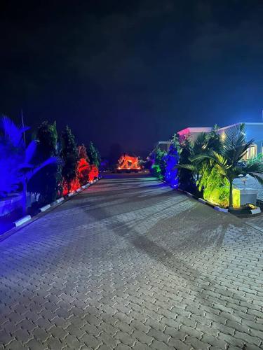 an empty street at night with palm trees and buildings at Kacoke Madit Hotel and Cultural Centre, Gulu in Gulu