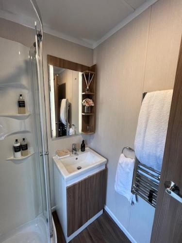 a bathroom with a sink and a shower at Ravenswood Pod in Fort William