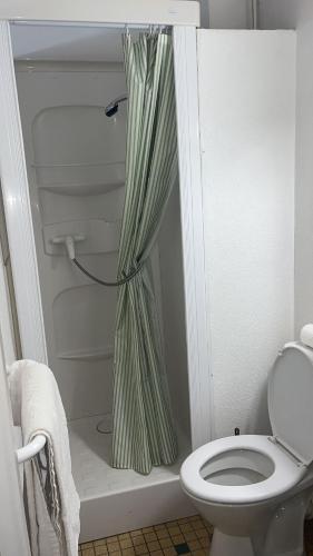 La salle de bains est pourvue d'une douche avec rideau de douche à rayures. dans l'établissement Urbain V, à Le Monastier