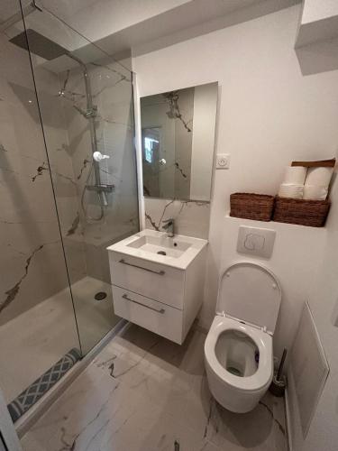 une salle de bain avec toilettes, douche et lavabo dans l'établissement Studio moderne climatisé avec coin nuit, proche mer et Hauts de Cagnes, à Cagnes-sur-Mer