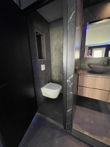 a bathroom with a toilet and a sink at Spartementen by Pure-Zen in Rotterdam