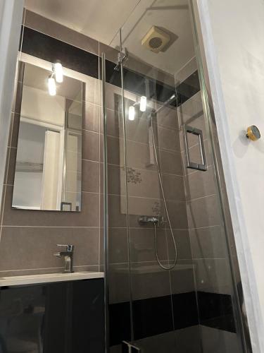 une salle de bain avec une douche avec un lavabo et un miroir dans l'établissement Le repère studio, à Poitiers
