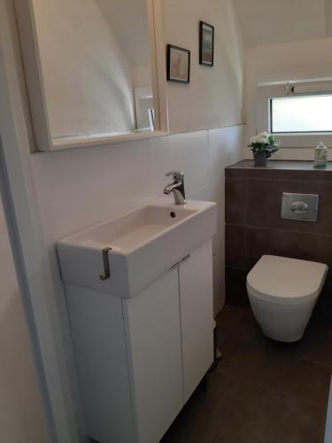 Photo de la galerie de l'établissement 6 persoonsbungalow met groot gezamenlijk zwembad, à Daumazan-sur-Arize