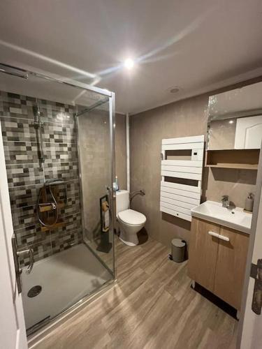 une salle de bain avec une douche, des toilettes et un lavabo dans l'établissement Gîte familial au bord de l'Orne, au pied du château de Mesnil-Glaise, à La Courbe