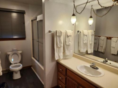 a bathroom with a sink and a toilet and a mirror at Montauk Lodge in Jadwin