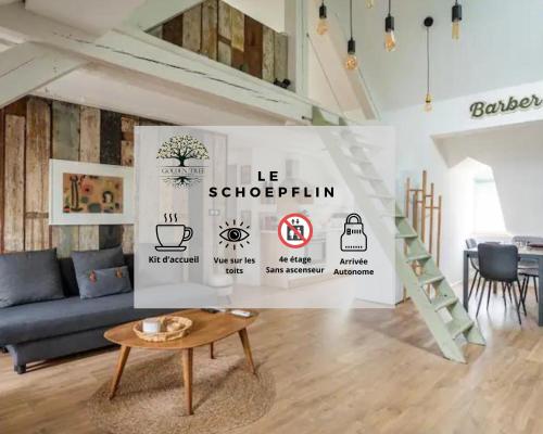 Le Schoepflin - Coeur de Strasbourg - Vue toits