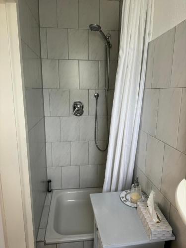 a bathroom with a shower and a tub and a sink at Fewo & Monteurzimmer Forbrich in Eislingen