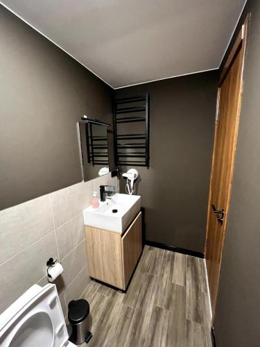 a bathroom with a sink and a toilet at Gudauri - Apartment - Sleeps 4 - Pool - Parking in Gudauri