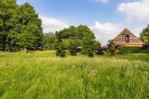 a field of tall grass with a house in the background at Vakantiehuis Wandelen en fietsen in de Kalkense Meersen dichtbij Gent in Laarne
