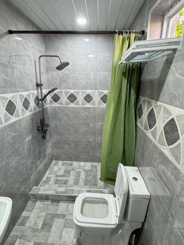 a bathroom with a toilet and a sink and a shower at House in the Bamboos in Batumi