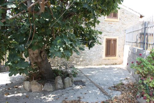 a tree in front of a house with rocks around it at Bouganville in Villanovafranca