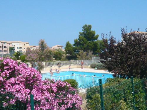 - une piscine avec des personnes et des fleurs roses dans l'établissement Apartment Les Terrasses de la Méditerranée-13 by Interhome, à Saint Pierre La Mer