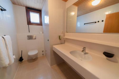 a bathroom with a sink and a toilet and a mirror at Apartment Panorama Gerlitzen in Treffen