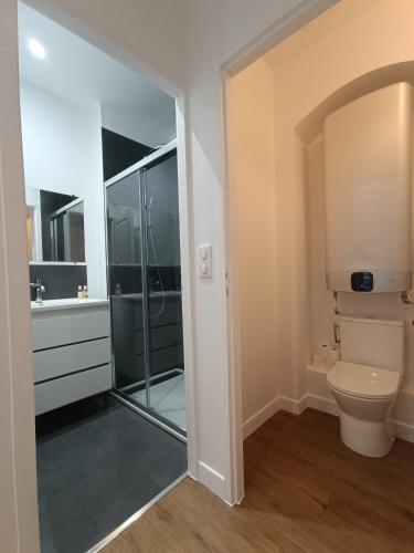 une salle de bain avec douche et toilettes dans l'établissement Appartement centre ville historique avec terrasse et climatise, à Périgueux
