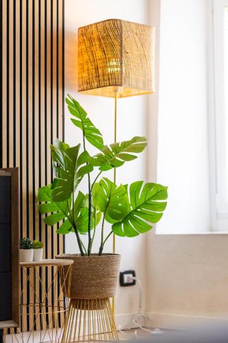 a plant sitting on a table next to a lamp at Cinnamon LakeHouse in Cavalcaselle