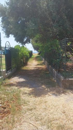 a fence with a tree over a dirt road at Tramonto sul Tirreno in Acquappesa