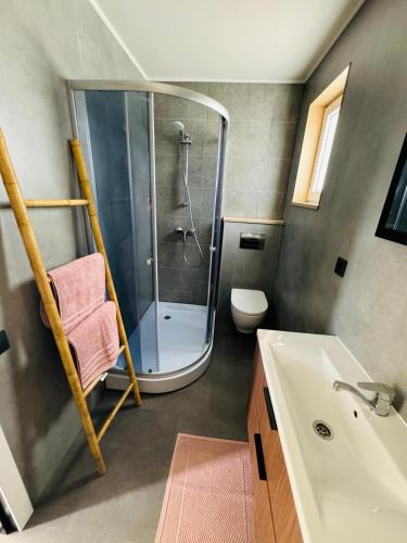 une salle de bain avec douche et lavabo dans l'établissement Chalet moderne avec piscine, à Vittel
