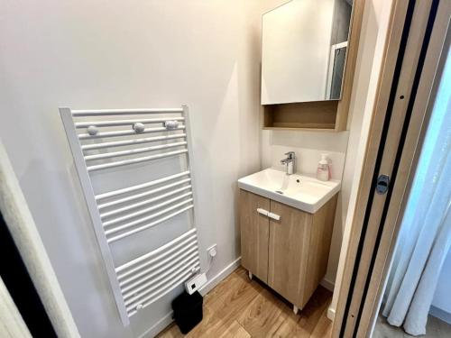 une petite salle de bain avec un lavabo et un miroir dans l'établissement Zola 2pers Tv, à Nantes