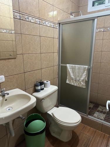 a bathroom with a toilet and a sink and a shower at Casa Los Cedros in San Martín Zapotitlán