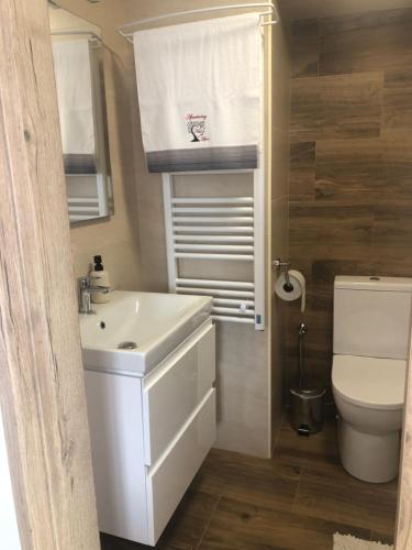 Koupelna v ubytování AP2, Hrubá Skála, Apartmány Nad Lípou