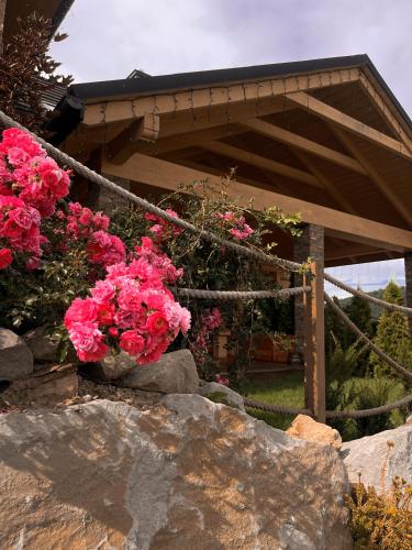 Apartamenty Wichrowe Wzgórze