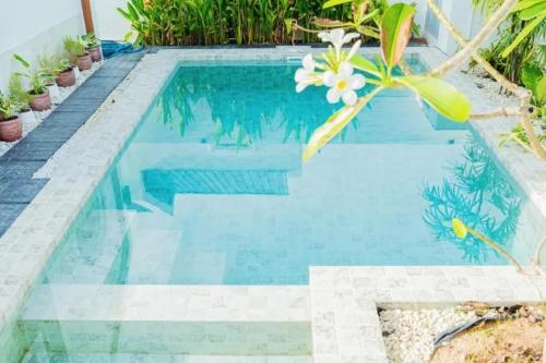a swimming pool with blue water and plants at Tenki Poolvilla surin in Surin