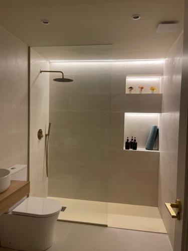 a bathroom with a glass shower with a toilet at Casa de la luz in Peñafiel