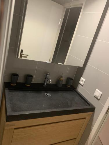 une salle de bain avec un lavabo et un miroir dans l'établissement Chante Brise 2 Pieces, à Cannes