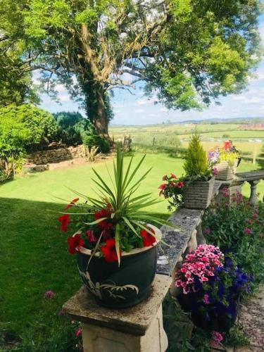 a potted plant on a stone wall with flowers at Uplands House Tewkesbury in Tewkesbury