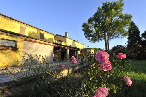 a group of pink flowers in front of a building at Il Podere Del Germano Reale in Coriano