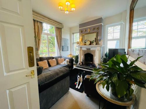 a living room with a couch and a fireplace at Uplands House Tewkesbury in Tewkesbury