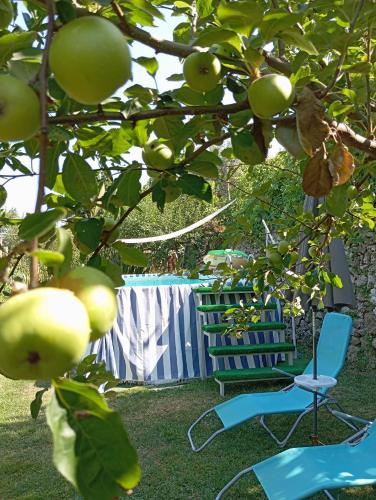Ein Garten an der Unterkunft Casa Mia
