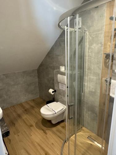 a bathroom with a toilet and a shower at Guest House Zatyshnyi Dvir in Bukovel