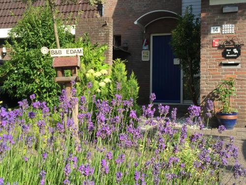 Jardín al aire libre en B&B-Edam
