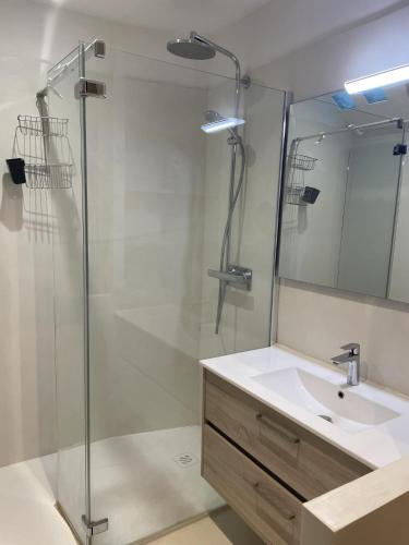 ein Badezimmer mit Glasdusche und Waschbecken in der Unterkunft St Cyprien superbe maison de village in Saint-Cyprien