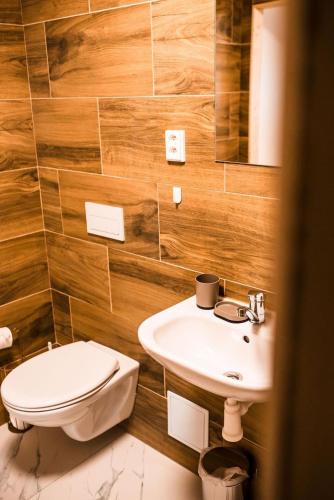 a bathroom with a toilet and a sink at Řasnická stodola in Horní Řasnice