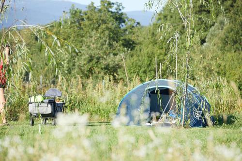 a blue tent in the middle of a field at Camping Baleia in Pui
