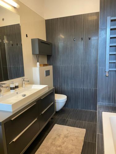 a bathroom with a sink and a toilet and a mirror at Apartmán Hodžova in Trenčín