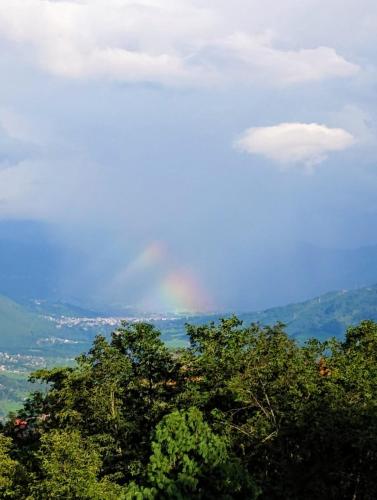 a view of a tree in the foreground at Homestay in Baglung Bazar -Baglung Homestay in Bāglung