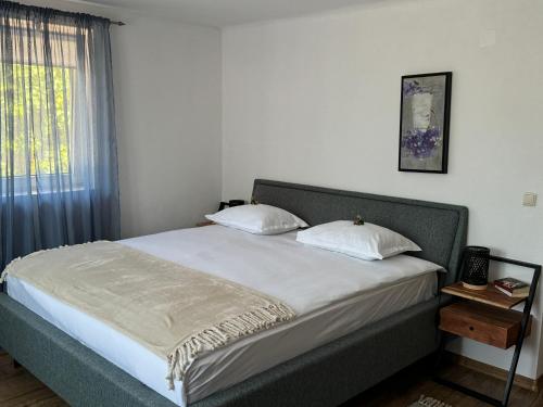 Una cama con dos almohadas encima en un dormitorio. en Gabi's Home #3, en Sighişoara
