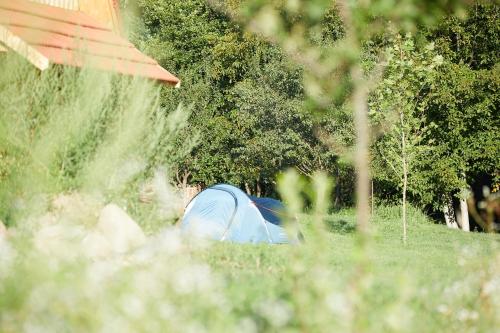 a tent sitting in the grass in a field at Camping Baleia in Pui