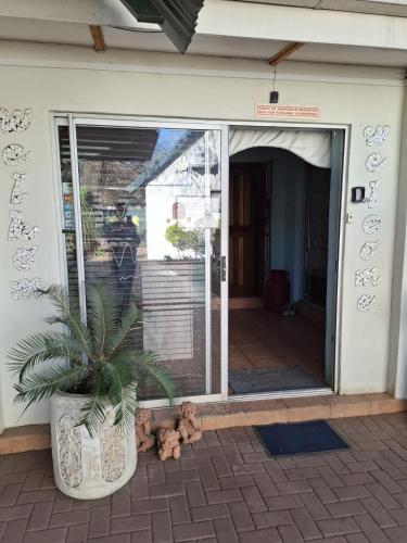 a potted plant sitting in front of a sliding glass door at Big Tree Guesthouse Brits in Brits