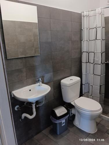 a bathroom with a toilet and a sink at RENA APARTMENTS in Magoúla