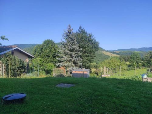 a yard with a frisbee in the grass at Au creux du nid in Lamure-sur-Azergues