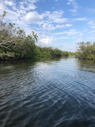 a river with trees on the side of it at Castaway on Treasure Island NPR in New Port Richey