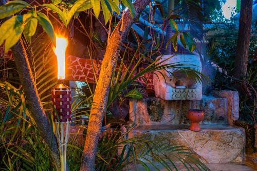 a garden with a building with a candle and plants at Maison Tulum in Tulum
